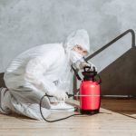 Mold Remediation Companies in North Port