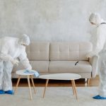 Mold Remediation Companies in North Port